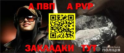 ешки Кингисепп