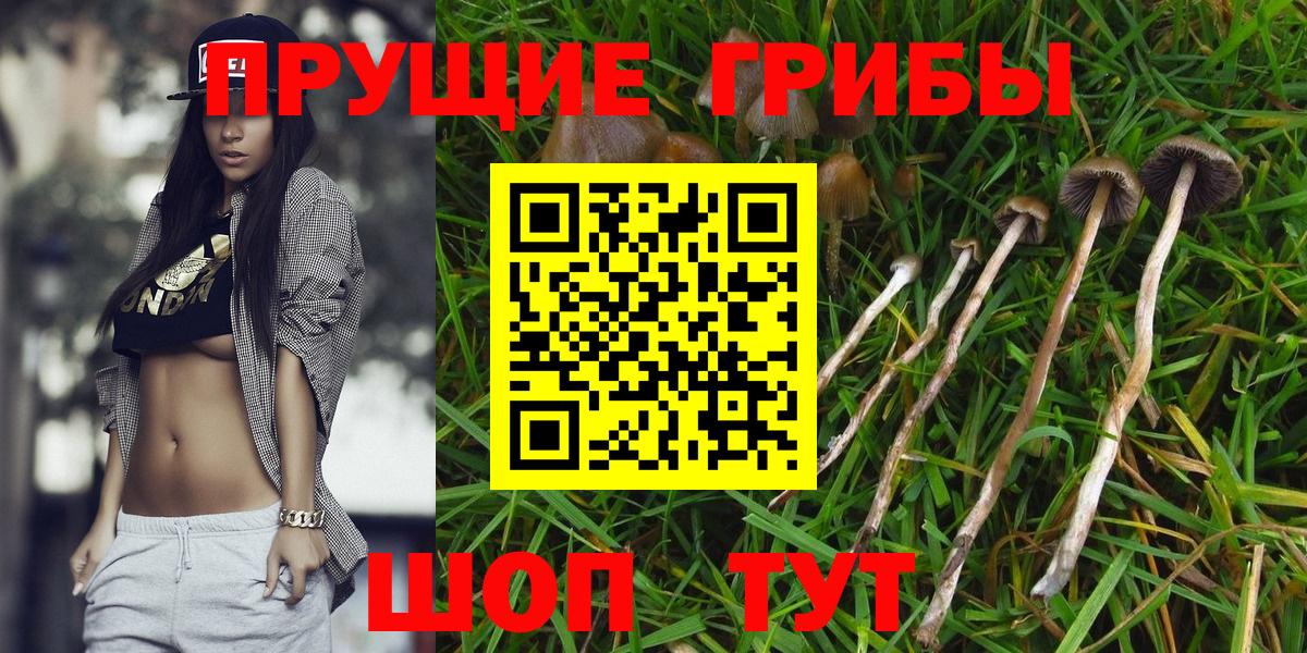 Галлюциногенные грибы MAGIC MUSHROOMS  как найти   Галлюциногенные грибы Magic Shrooms  Кашира  Вход с VPN 