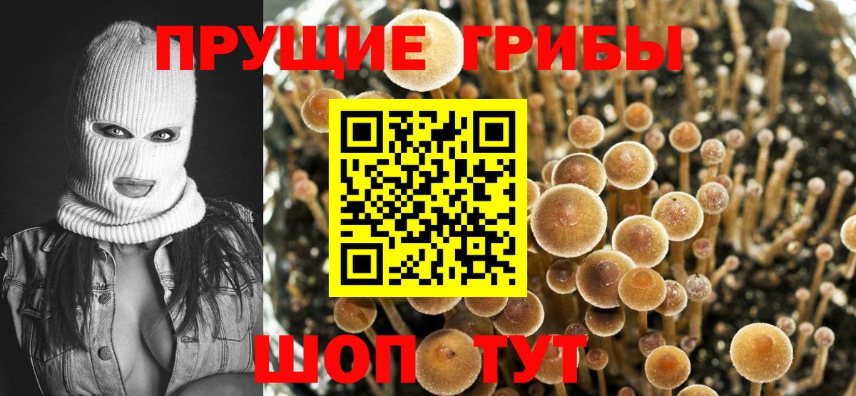 Галлюциногенные грибы мухоморы Кашира